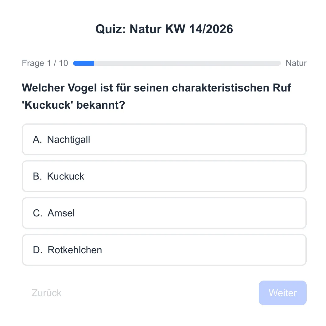 Marktindex Quiz Marktindex Quiz