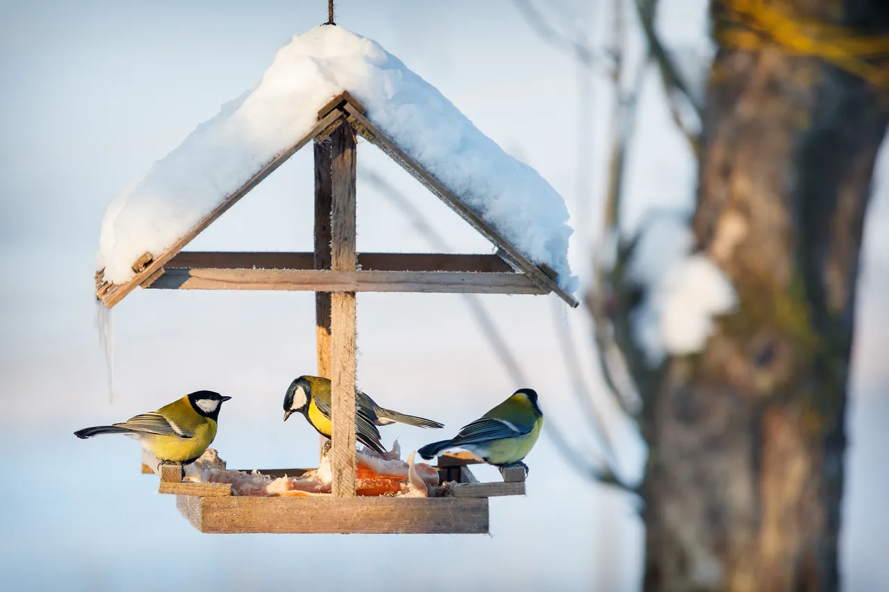 Im Herbst muss der Garten nicht vollständig aufgeräumt werden: Stauden und Gräser bieten Insekten Schutz und sorgen für Struktur.