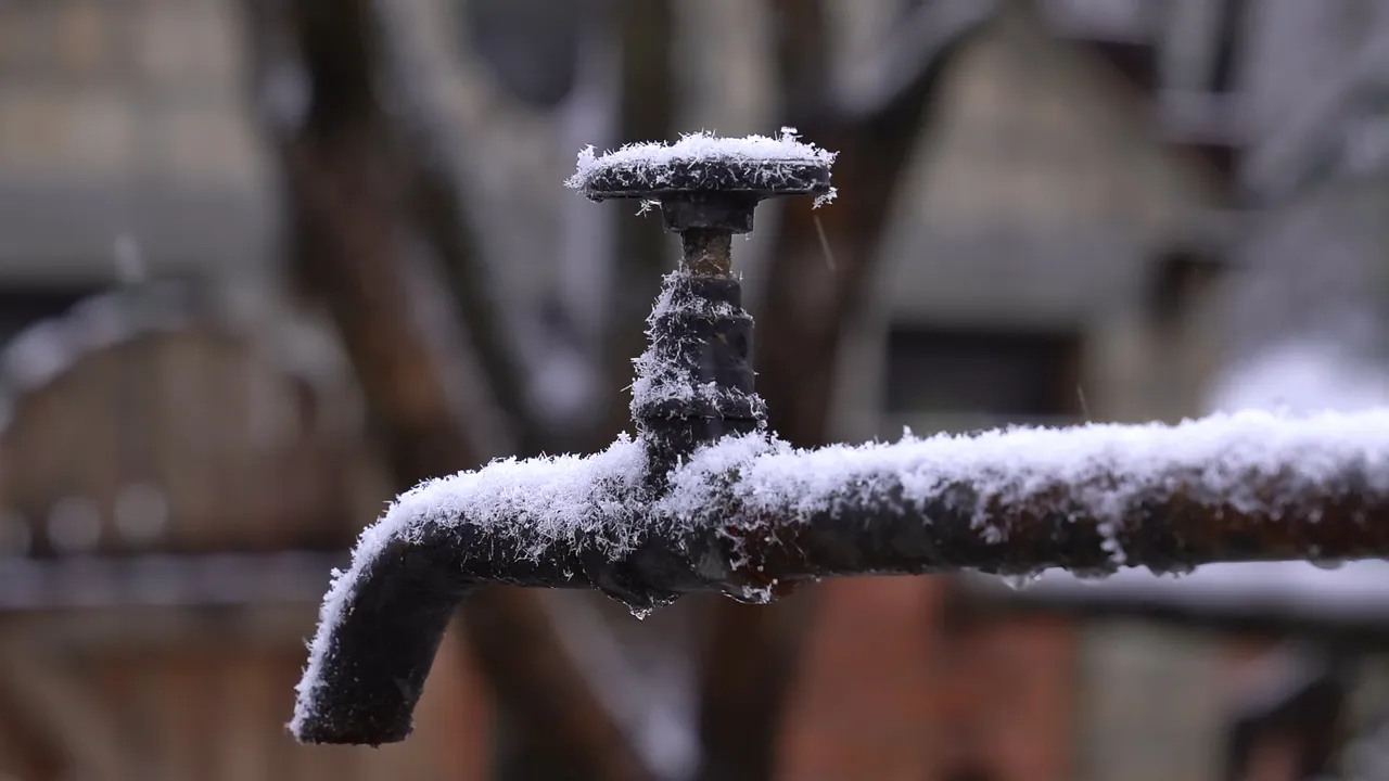 Vor dem ersten Frost sollten Leitungen, Schläuche und Bewässerungsanlagen entleert werden. Auch Regentonnen und Wasserelemente brauchen den passenden Winterschutz.
