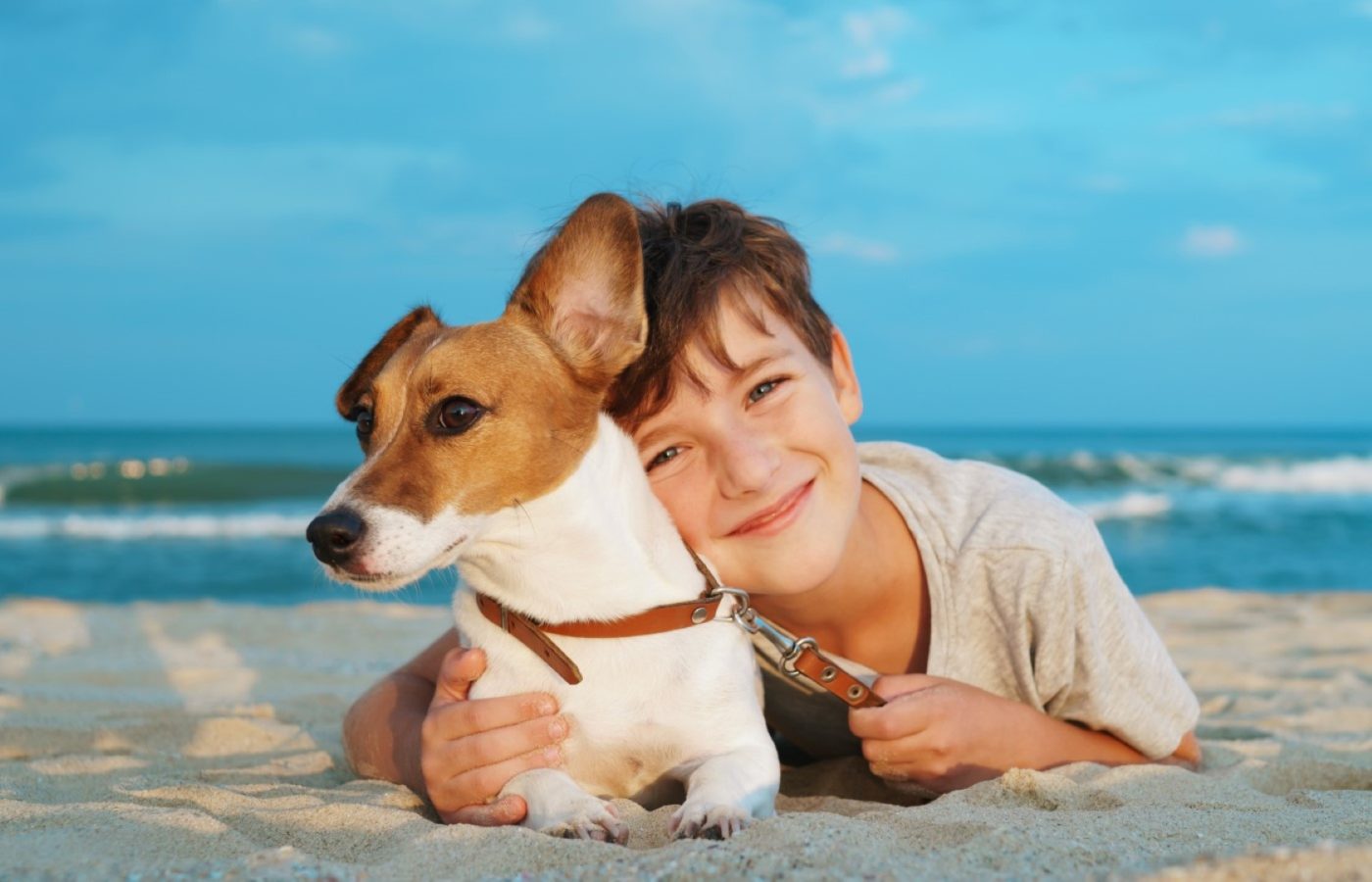 5 Tipps für den stressfreien Urlaub mit Hund - Mehr auf www.marktindex.ch