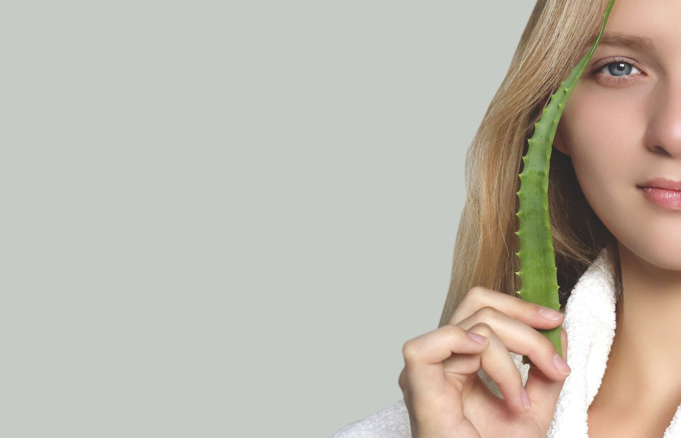 Aloe vera fr natrlich schne Haare