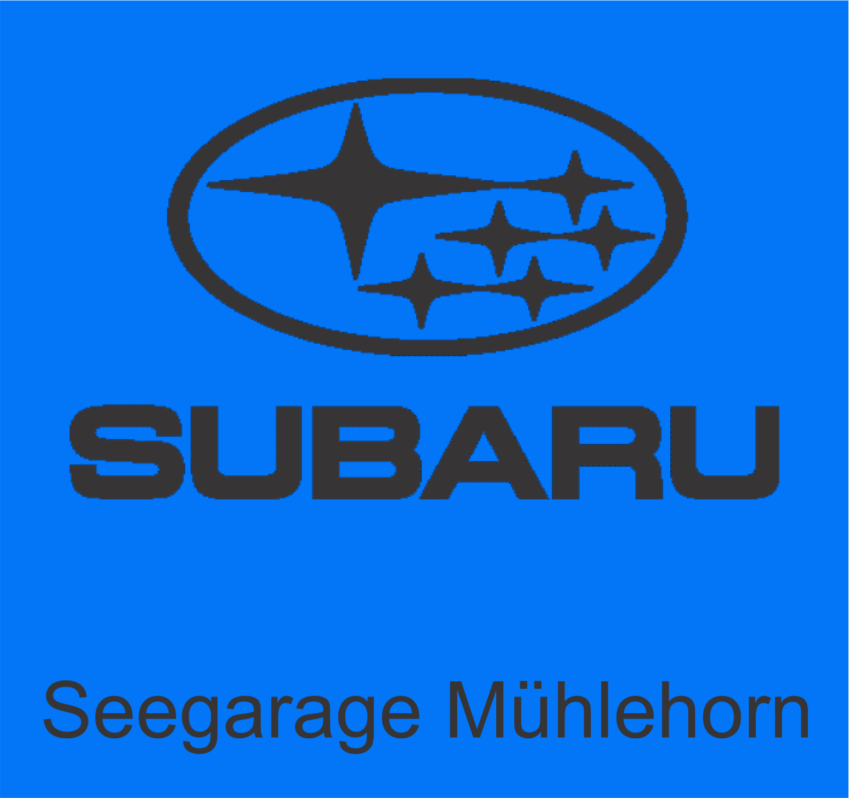 Seegarage Mühlehorn